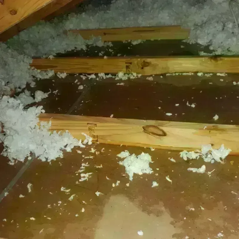 Attic Water Damage in Beach Park, IL