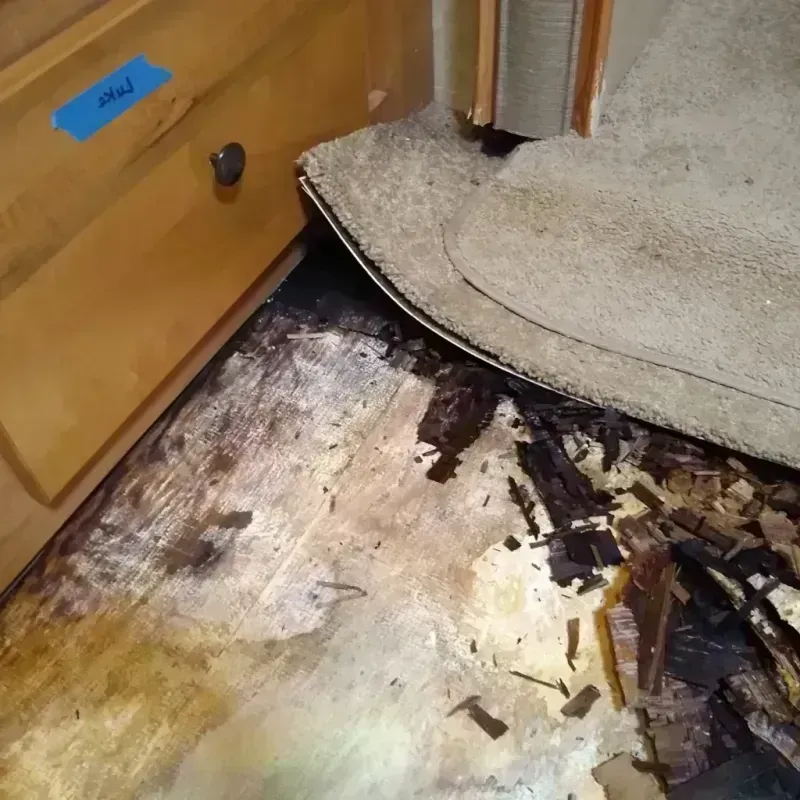 Wood Floor Water Damage in Beach Park, IL